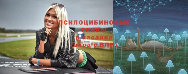 таблы Инсар