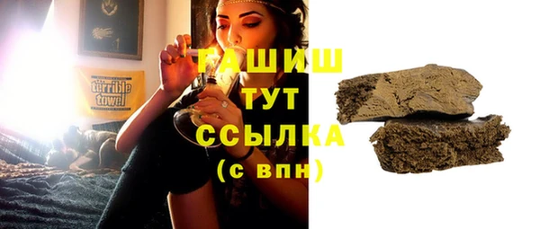 mix Инта