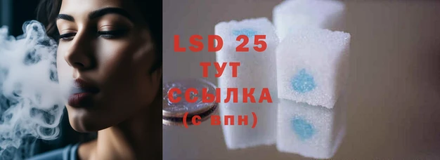 mix Инта