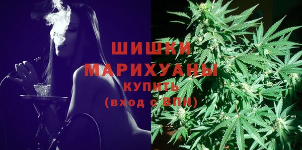 mix Инта
