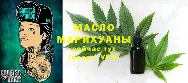 mix Инта