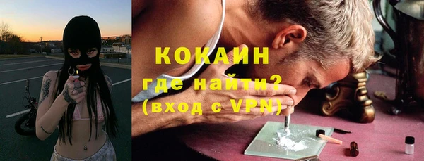 трава Тавда